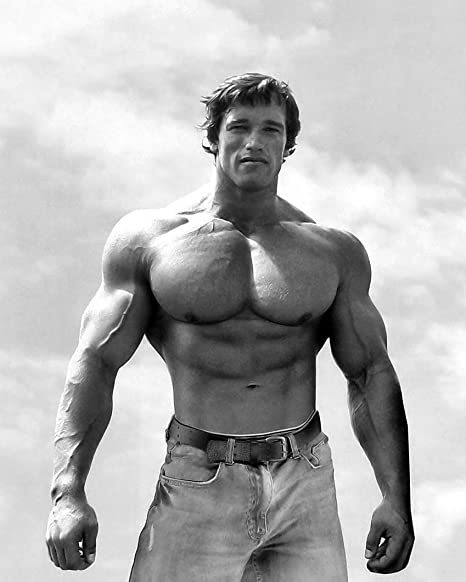 Amazon.com: Arnold Schwarzenegger 8 x 10 / 8x10 GLOSSY Photo Picture IMAGE #2 : Home &amp; Kitchen